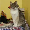 Отзыв от Олеся Козлова
